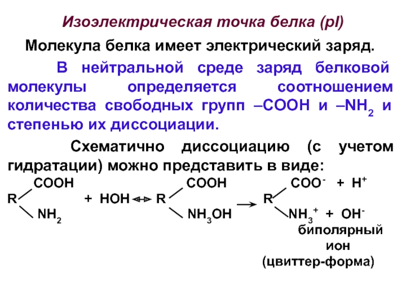 Среда белков