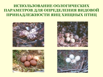 ИСПОЛЬЗОВАНИЕ ООЛОГИЧЕСКИХ ПАРАМЕТРОВ ДЛЯ ОПРЕДЕЛЕНИЯ ВИДОВОЙ ПРИНАДЛЕЖНОСТИ ЯИЦ ХИЩНЫХ ПТИЦ