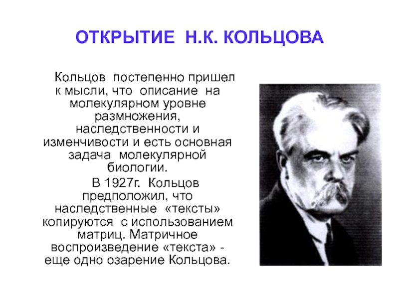 4 открытия. Кольцов 1928. Николай Константинович Кольцов достижения. Кольцов генетика. Кольцов Николай Константинович вклад в биологию.