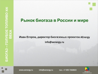 Рынок биогаза в России и мире