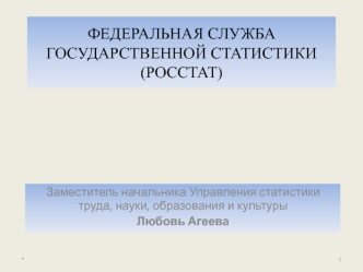 ФЕДЕРАЛЬНАЯ СЛУЖБА ГОСУДАРСТВЕННОЙ СТАТИСТИКИ (РОССТАТ)