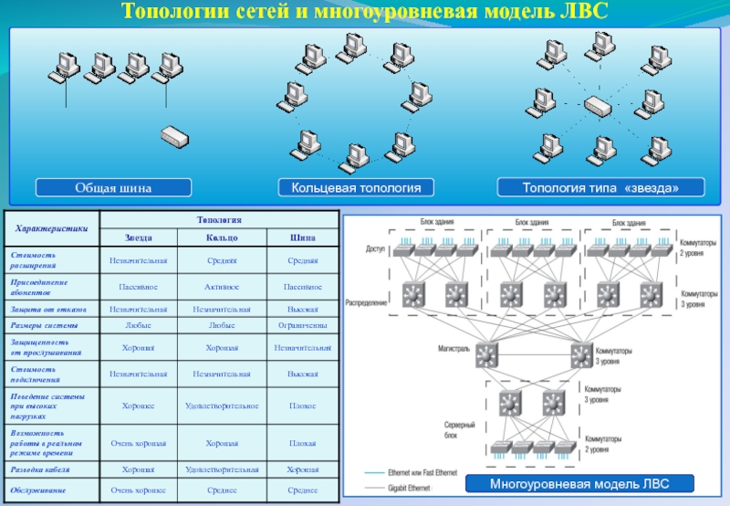 Заполните схему опишите 3 наиболее популярные топологии их достоинства и недостатки