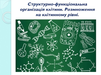 Структурно-функціональна організація клітини. Розмноження на клітинному рівні