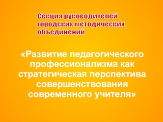 Развитие педагогического профессионализма как стратегическая перспектива совершенствования современного учителя