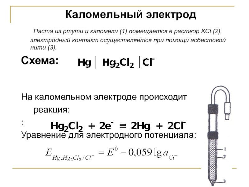 Электрод сравнения