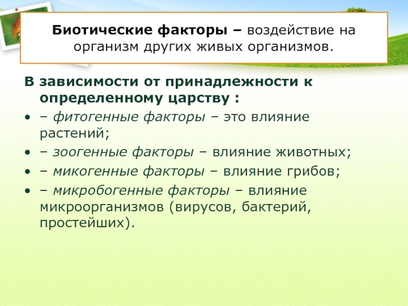 Биотические факторы и их влияние на живые организмы презентация