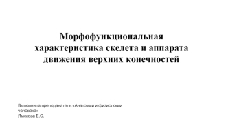 Морфофункциональная характеристика скелета и аппарата движения верхних конечностей