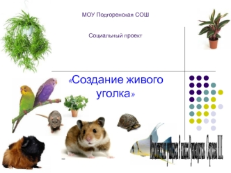 Исполнители:
учащиеся 8 класса
Руководитель 
Сергеева Н.Н.