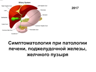 Симптоматология при патологии печени, поджелудочной железы, желчного пузыря