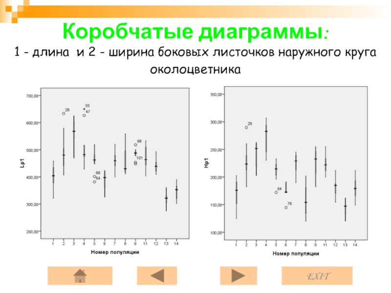 Коробчатая диаграмма. Коробчатые графики. Построение коробчатых диаграмм. Коробчатые горизонтальные графики.