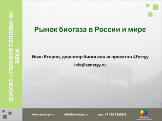 Рынок биогаза в России и мире


Иван Егоров, директор биогазовых проектов AEnergy
info@aenergy.ru