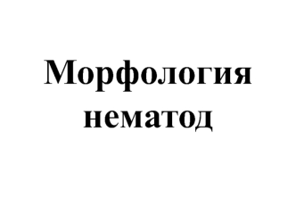 Морфология нематод