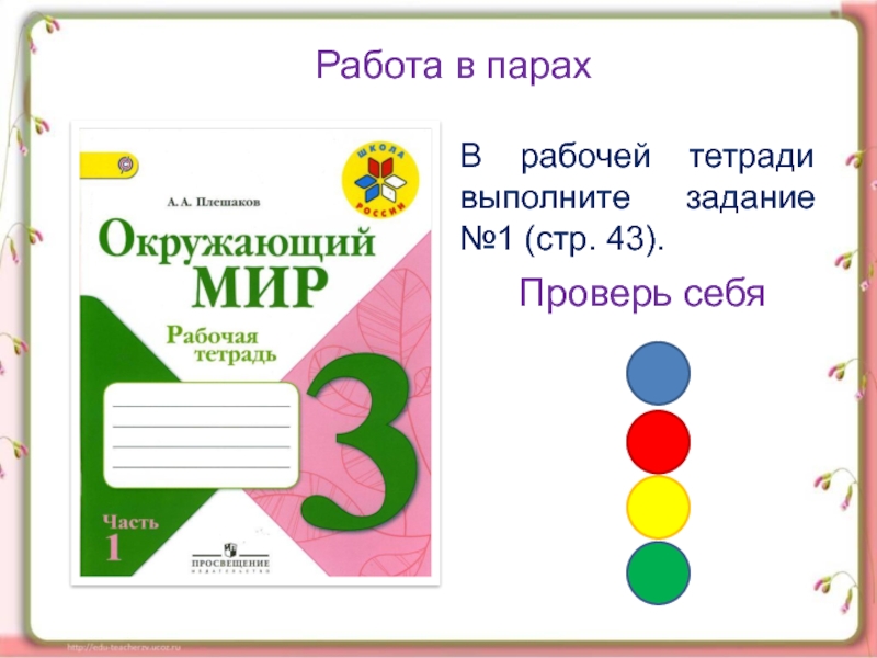 Презентация 3 класс плешаков. Кто что ест презентация 3 класс окружающий мир Плешаков. Работа в паре задания окружающий мир. 