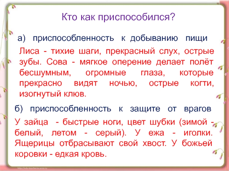 Кто что ест 3 класс тест. Кто что ест презентация. Кто что ест окружающий мир. Примеры приспособленности животных к добыванию пищи. Окружающий мир тема кто что ест.