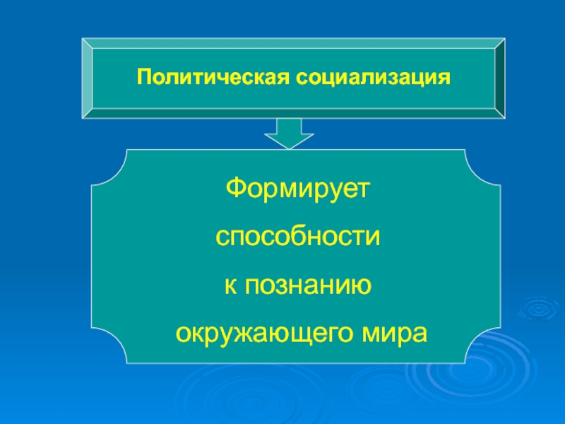 Политическая социализация сложный план