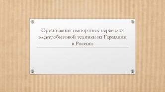 Организация импортных перевозок электробытовой техники из Германии в Россию