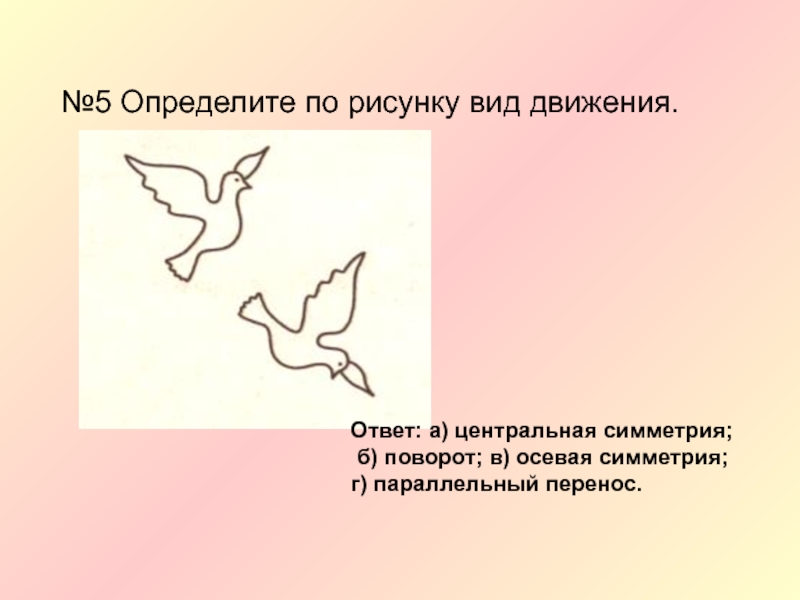 Определите по рисунку вид. Определите по рисунку вид движения. Определите по рисунку вид движения голуби. Голубь в движении. Определите по рисунку вид движения Центральная симметрия.