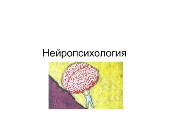 Нейропсихология. Клиническая нейропсихология