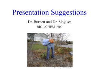 Presentation suggestions