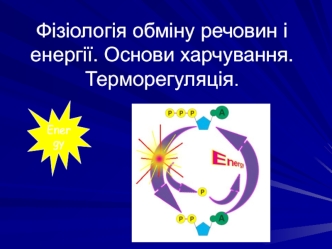 Фізіологія обміну речовин і енергії. Основи харчування. Терморегуляція