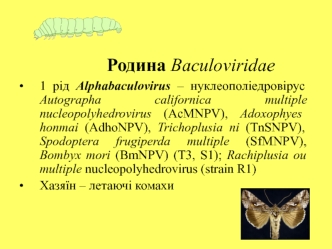 Родина Baculoviridae