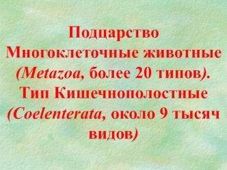 Подцарство Многоклеточные животные. Тип Кишечнополостные