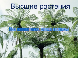 Высшие растения. Споровые: мхи, папоротники, хвощи и плауны