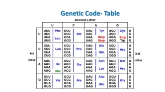 The properties of the genetic code