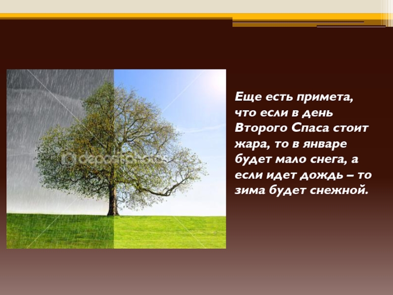 Есть на примете. Есть народная примета что если 4 ноября пойдет дождь то.