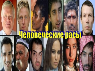 Человеческие расы