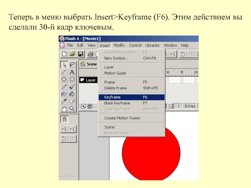 Форматы flash. Flash презентации. Insert Keyframe menu на русском. Format Flash. Кейфрейм что это.