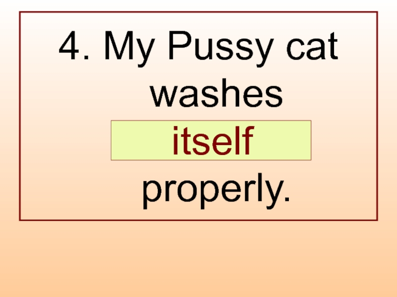 4. My Pussy cat washes  …  properly.   itself