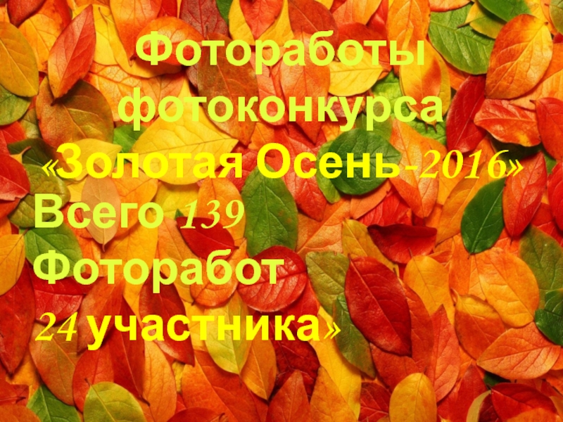 Фотоработы фотоконкурса «Золотая Осень-2016»  Всего 139 Фоторабот 24 участника»