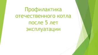 Профилактика отечественного котла после 5 лет эксплуатации