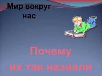 Почему 
их так назвали