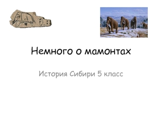 Немного о мамонтах