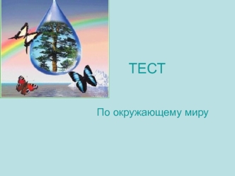 ТЕСТ