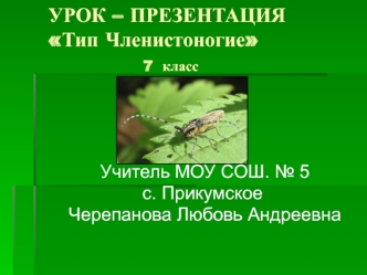 УРОК – ПРЕЗЕНТАЦИЯТип Членистоногие              7  класс