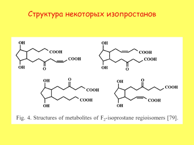 Строение некоторые. Изопростан.