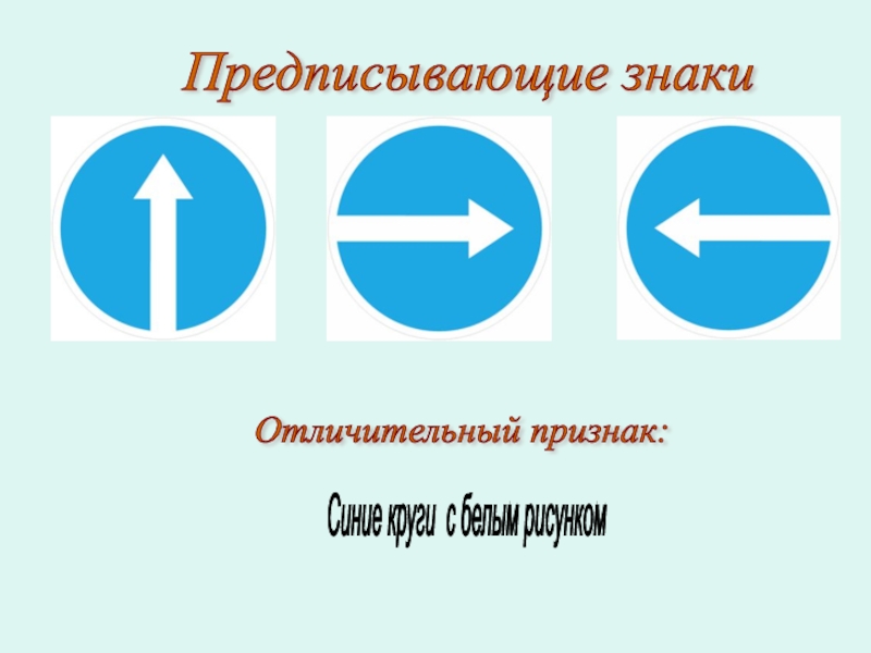 Как выглядят предписывающие знаки синие круги с белыми рисунками синие прямоугольники