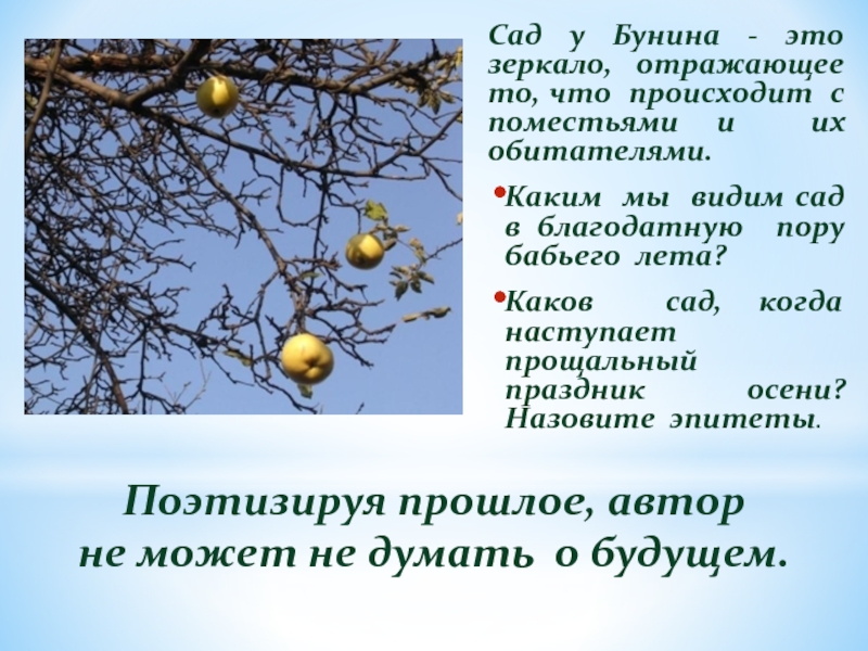 Эпитеты бабье лето. Антоновские яблоки Автор. Бунин и. "Антоновские яблоки". Антоновские яблоки эпитеты. Антоновские яблоки конфликт.