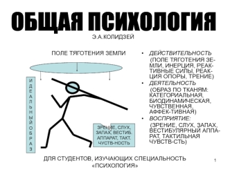 1 ПОЛЕ ТЯГОТЕНИЯ ЗЕМЛИ ДЕЙСТВИТЕЛЬНОСТЬ (ПОЛЕ ТЯГОТЕНИЯ ЗЕ- МЛИ, ИНЕРЦИЯ, РЕАК- ТИВНЫЕ СИЛЫ, РЕАК- ЦИЯ ОПОРЫ, ТРЕНИЕ) ДЕЯТЕЛЬНОСТЬ (ОБРАЗ ПО ТКАНЯМ: КАТЕГОРИАЛЬНАЯ,