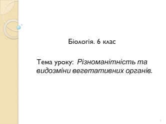 Різноманітність та видозміни вегетативних органів