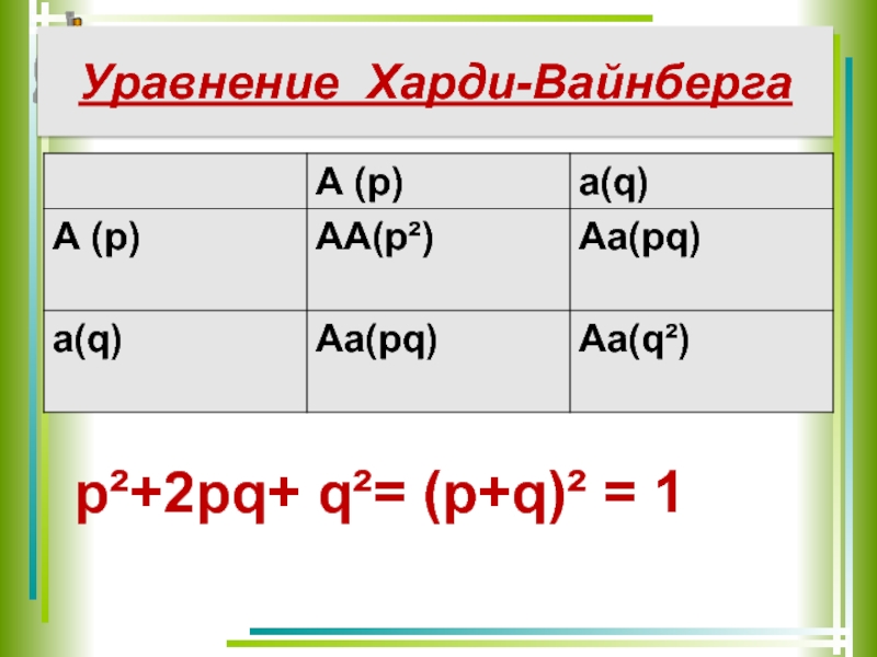 Уравнение Харди-Вайнбергаp²+2pq+ q²= (p+q)² = 1