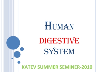 Human digestive system