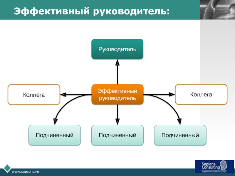 Проект эффективный руководитель