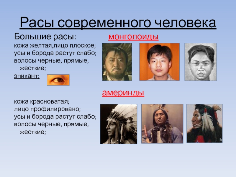 Монголоидная цвет кожи. Характерные черты монголоидной расы. Цвет кожи монголоидной расы. Современные расы человека.