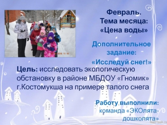 Исследование экологической обстановки в районе МБДОУ Гномик г. Костомукша на примере талого снега