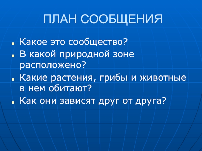 План сообщения по литературе