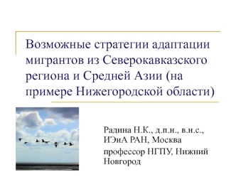 Возможные стратегии адаптации мигрантов из Северокавказского региона и Средней Азии (на примере Нижегородской области)